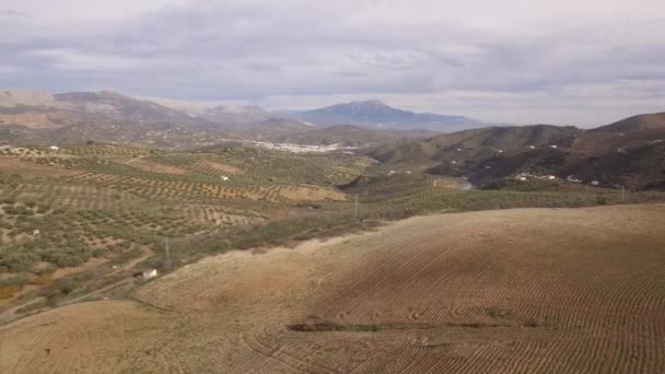 Flug Über Steinige Felder Und Flaches Land Andalusien Spanien — Stockvideo