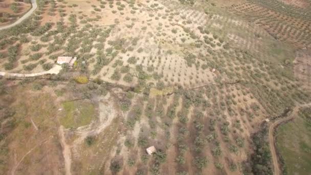 Aerial Flight Stony Fields Flat Lands Andalúzia Spanyolország — Stock videók