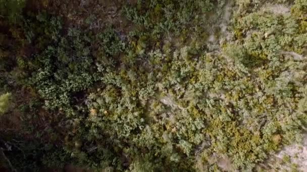 Aéreo Voo Sobre Campo Plano Sierra Las Nieves Andaluzia Espanha — Vídeo de Stock