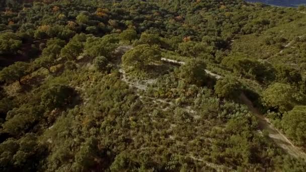 Воздушный Полет Над Равнинным Полем Сьерра Лас Фавес Андалусия Испания — стоковое видео