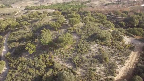 Aerial Flight Plain Field Sierra Las Nieves Andalusia Spain — Stock Video
