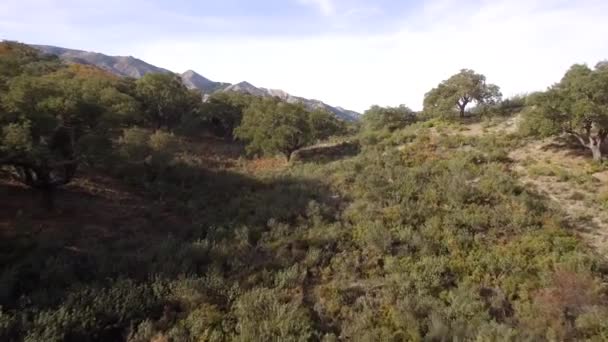 Aerial Flight Plain Field Sierra Las Nieves Andalúzia Spanyolország — Stock videók