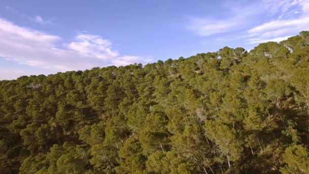 Aerial Footage Forest Monte Malaga — Stok video