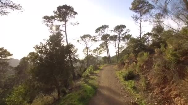 Aerial Footage Forest Monte Malaga — Vídeo de stock