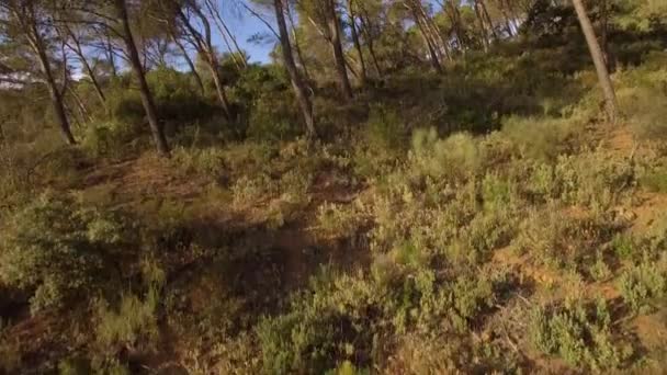 Aerial Footage Forest Monte Malaga — Stockvideo