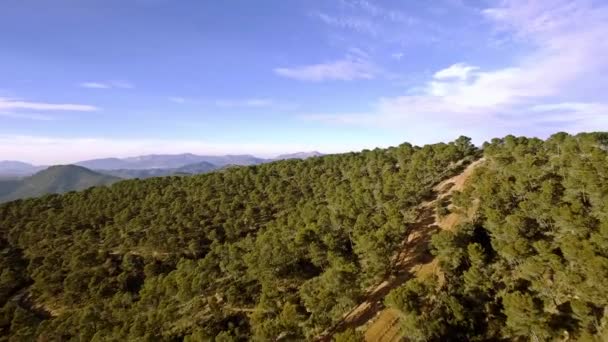 Aerial Footage Forest Monte Malaga — Vídeo de stock