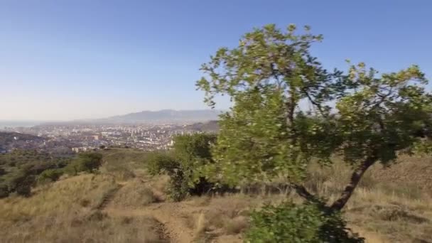 Widok Lotu Ptaka Malaga Hiszpania — Wideo stockowe
