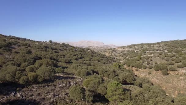 Πτήση Κατά Μήκος Μιας Κοίτης Ποταμού Στην Ανδαλουσία Ισπανία — Αρχείο Βίντεο