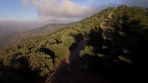Πτήση Πάνω Από Ένα Δάσος Από Την Πεπατημένη Ανδαλουσία Ισπανία — Αρχείο Βίντεο