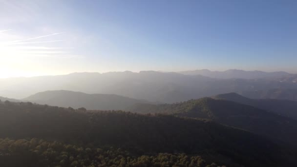 Flug Über Einen Wald Abseits Der Ausgetretenen Pfade Andalusien Spanien — Stockvideo