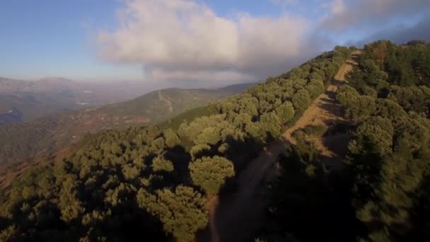 西班牙安达卢西亚 在一片森林中飞奔 远离人迹罕至的小路 — 图库视频影像