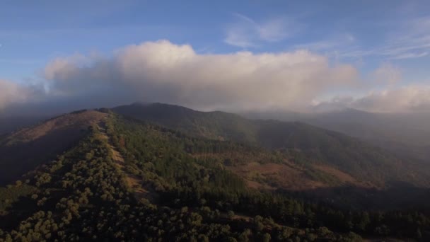 Полет Над Лесом Вне Проторенной Дороги Андалусия Испания — стоковое видео