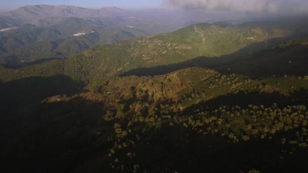 Πτήση Πάνω Από Ένα Δάσος Από Την Πεπατημένη Ανδαλουσία Ισπανία — Αρχείο Βίντεο