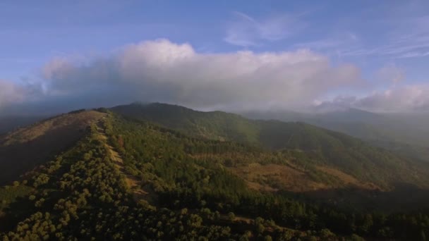 Полет Над Лесом Вне Проторенной Дороги Андалусия Испания — стоковое видео