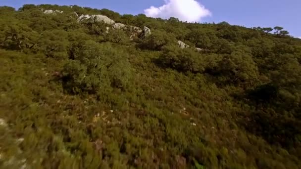 Flug Über Den Barrier See Spanien Embalse Guadarranque Andalusien — Stockvideo