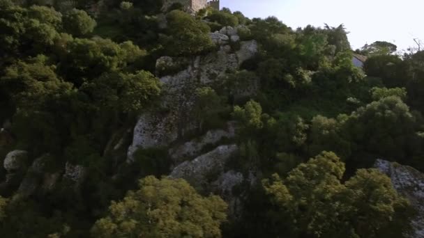 Полет Вдоль Красивого Кастильо Кастельяр Андалусия Испания — стоковое видео