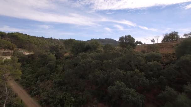 말라가 안달루시아 스페인의 아름다운 — 비디오