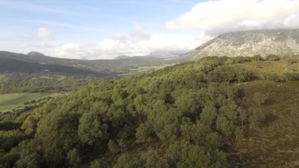 Spanya Cortes Frontera Nın Hava Manzarası — Stok video