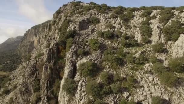 Полет Вдоль Реки Андалусия Испания — стоковое видео