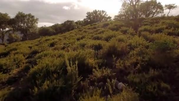 Spanya Cortes Frontera Nın Hava Manzarası — Stok video