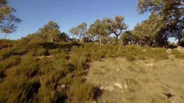 Flygfoto Vacker Utsikt Över Cortes Frontera Spanien — Stockvideo