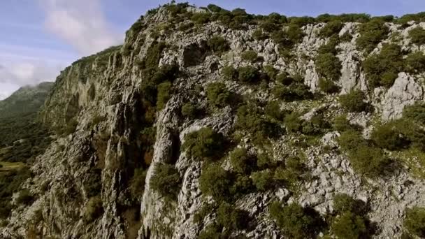 Bir Nehir Yatağı Boyunca Uçmak Endülüs Spanya — Stok video