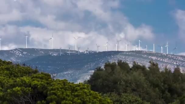 Scenic Footage Wind Turbines Wind Generators Ecological Source Energy — Stock Video