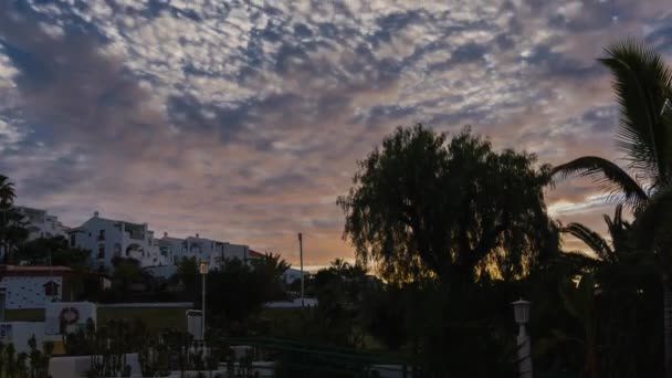 Tropik Park Timelapse Tenerife Spanya — Stok video