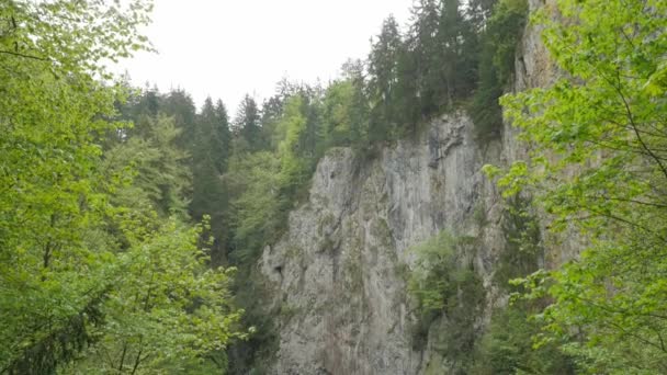 Propast Macocha Mağarası Slovakya Notlandırılmış Sabitlenmiş Versiyonu Düz Derecelendirilmemiş Sürümü — Stok video