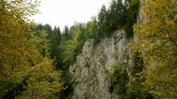 Macocha Mağarası Slovakya Dokunulmamış Düz Malzeme Ayrıca Derecelendirilmiş Versiyonu Izleyin — Stok video
