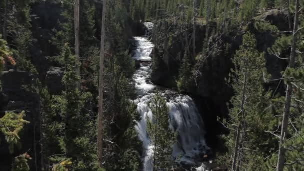 Kepler Cascades Yellowstone National Park Verenigde Staten Graded Gestabiliseerde Versie — Stockvideo