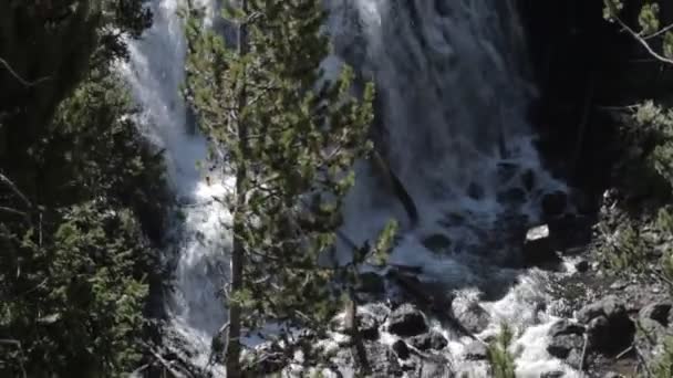 ケプラー カスケード イエローストーン国立公園 アメリカ合衆国 まっすぐのネイティブの材料を傾斜と安定版も見る — ストック動画