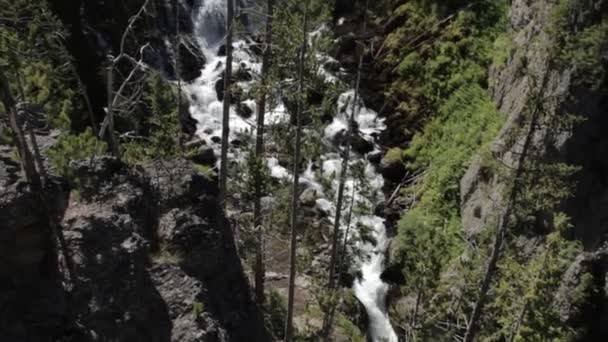 Kepler Cascades Park Narodowy Yellowstone Stany Zjednoczone Materiał Macierzysty Prosto — Wideo stockowe