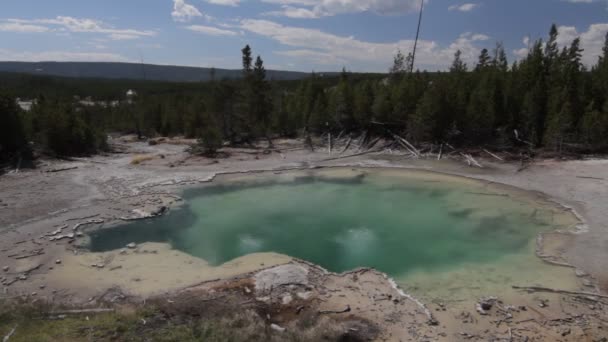 Mammoet Warmwaterbronnen Yellowstone National Park Verenigde Staten — Stockvideo