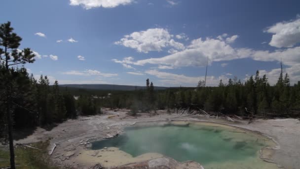 Mammut Thermalquellen Yellowstone Nationalpark Vereinigte Staaten — Stockvideo