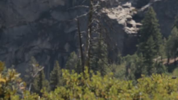 Yosemite Village Yosemite Nationalpark Verenigde Staten Inheems Materiaal Direct Uit — Stockvideo