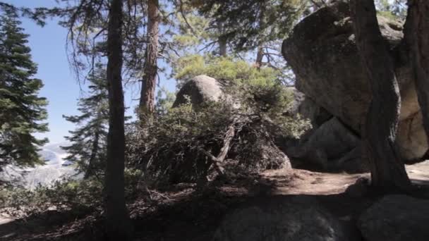 Hermoso Paisaje Parque Nacional Yosemite — Vídeos de Stock