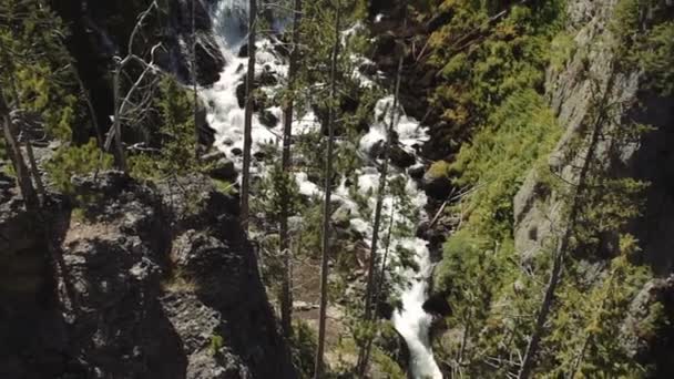 Kepler Cascades Yellowstone National Park Verenigde Staten Native Materiaal Direct — Stockvideo