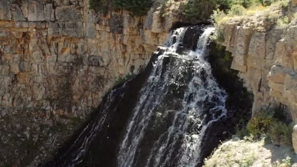 Lower Falls Yellowstone National Park Stati Uniti Versione Graduata Stabilizzata — Video Stock