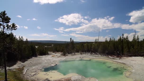 Mammoet Warmwaterbronnen Yellowstone National Park Verenigde Staten — Stockvideo