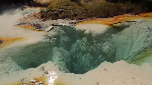 Mammoth Hot Springs Yellowstone National Park United States — Stock Video