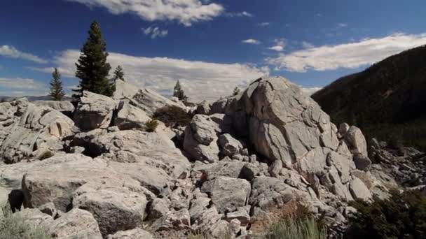 Canyon Junction Yellowstone National Park Usa Native Material Rakt Cam — Stockvideo