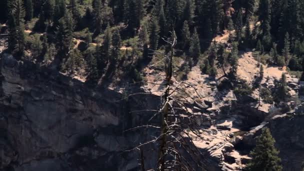 Yosemite Village Yosemite Nationalpark Stati Uniti Materiale Nativo Direttamente Dalla — Video Stock