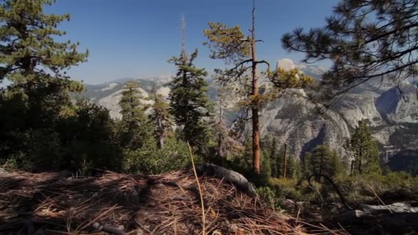 美国约塞米蒂国家公园的半圆顶景区 本土材料 直接从摄像机外出来 观看分级和稳定化版本 — 图库视频影像