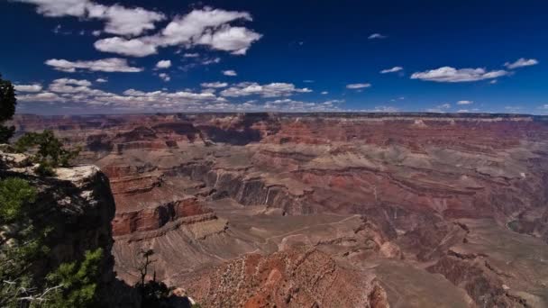 Aufnahme Der Natur Des Grand Canyon — Stockvideo