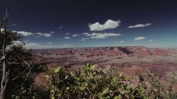 Shot Grand Canyon Nature Scenic View — Stock Video