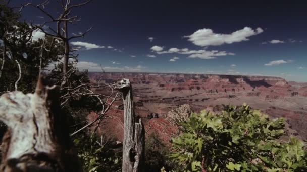 Vista Panoramica Sulla Natura Del Grand Canyon — Video Stock