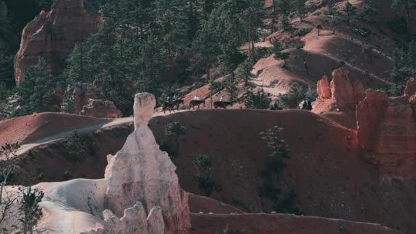 Ιππασία Στο Bryce Canyon Γιούτα Ηνωμένες Πολιτείες — Αρχείο Βίντεο