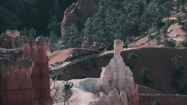 在美国犹他州布莱斯峡谷骑马 — 图库视频影像