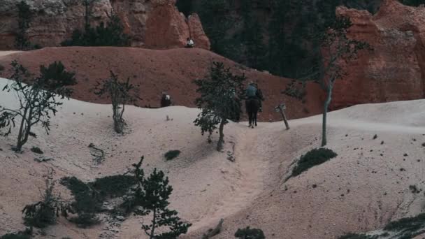 Equitación Bryce Canyon Utah Estados Unidos — Vídeos de Stock